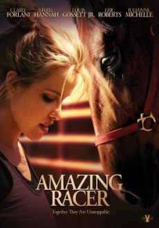 "Amazing Racer" (2012) PL.DVDRiP.XViD-PSiG