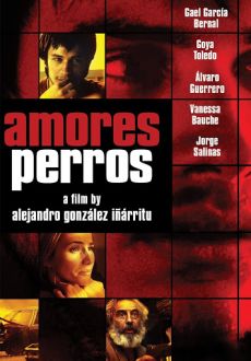"Amores perros" (2000) REMASTERED.BRRip.XviD-VXT