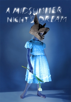 "A Midsummer Night's Dream" (2014) DVDRip.x264-RedBlade