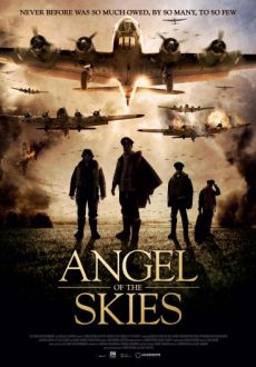 "Angel of the Skies" (2013) DVDRip.x264-NOSCREENS