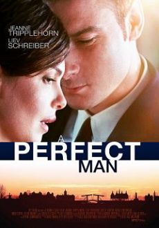 "A Perfect Man" (2013) WEBRip.XviD-EVO