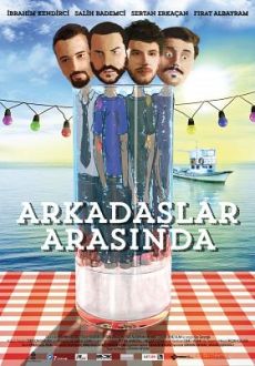 "Arkadaslar Arasinda" (2013) DVDRip.x264.AC3-void