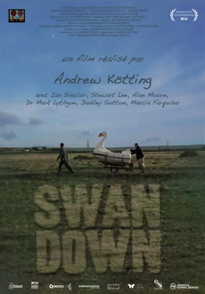 "Swandown" (2012) DVDRip.x264.AC3-NoGRP