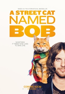 "A Street Cat Named Bob" (2016) PL.BDRiP.x264-PSiG