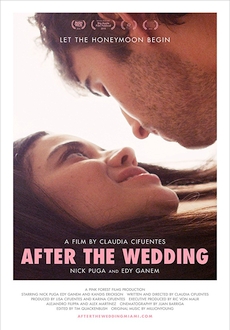 "After the Wedding" (2017) WEB-DL.x264-FGT