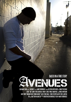 "Avenues" (2013) DVDRip.x264-NoRBiT