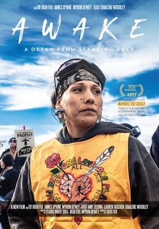 "Awake, a Dream from Standing Rock" (2017) WEBRip.x264-RARBG