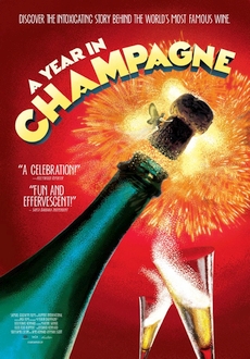 "A Year in Champagne" (2014) WEB-DL.x264-RARBG