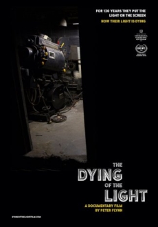 "The Dying of the Light" (2015) DVDRip.x264-RedBlade