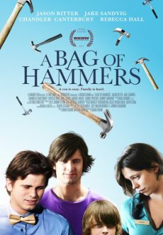 "A Bag of Hammers" (2011) DVDRip.XviD-iGNiTiON