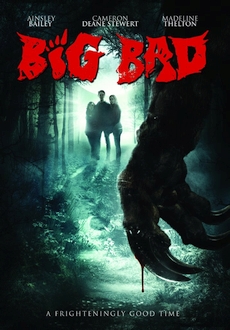 "Big Bad" (2016) DVDRip.x264-SPRiNTER