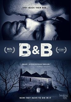 "B&B" (2017) DVDRip.x264-RedBlade