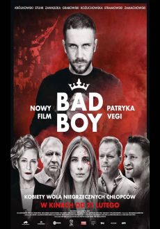 "Bad Boy" (2020) PL.720p.WEB-DL.H.264-PSiG