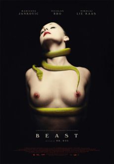 "Beast" (2011) DANiSH.DVDRip.XviD-SMOKEY