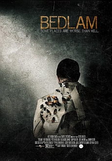 "Bedlam" (2015) DVDRip.x264-RedBlade