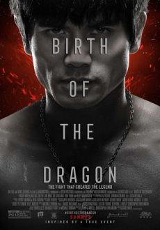 "Birth of the Dragon" (2017) WEB-DL.x264-FGT