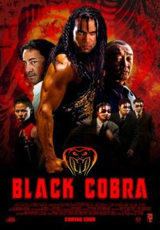 "Black Cobra" (2012) DVDRip.XviD-PTpOWeR