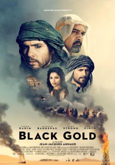 "Black Gold" (2011) PL.DVDRip.XviD-PSiG