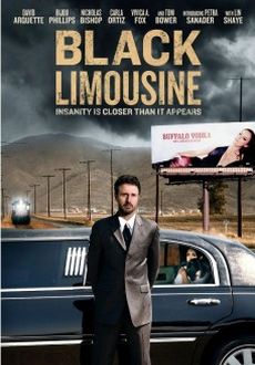 "Black Limousine" (2010) DVDRip.XviD-WiDE