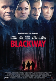 "Blackway" (2015) WEB-DL.x264-FGT