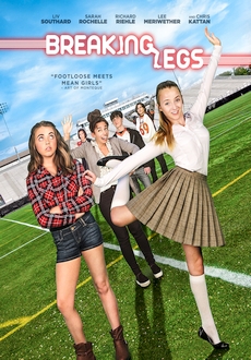 "Breaking Legs" (2017) HDRip.XviD.AC3-EVO