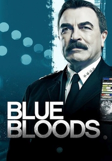 "Blue Bloods" [S10E12] HDTV.x264-KILLERS