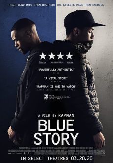 "Blue Story" (2019) HDRip.XviD.AC3-EVO