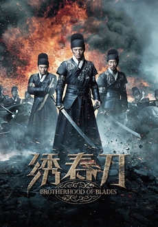 "Brotherhood of Blades" (2014) BDRip.x264-BiPOLAR