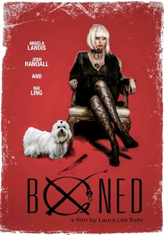 "Boned" (2015) BDRip.x264-GUACAMOLE