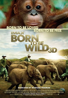 "Born to Be Wild" (2011) LIMITED.DOCU.DVDRip.XviD-BeStDivX