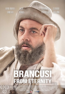 "Brancusi from Eternity" (2014) BDRip.x264-LAP