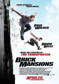 "Brick Mansions" (2014) Extended.Cut.BDRip.x264-EXViD