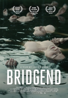 "Bridgend" (2016) HDRip.XviD.AC3-EVO