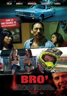 "Bro'" (2012) DVDRip.XviD-VoMiT