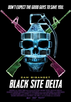 "Black Site Delta" (2017) WEBRip.x264-STRiFE