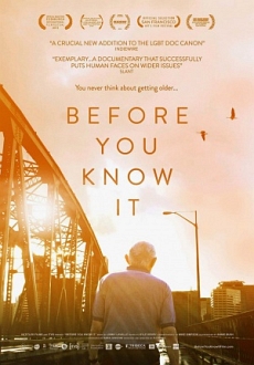 "Before You Know It" (2013) LIMITED.DVDRip.x264-RedBlade