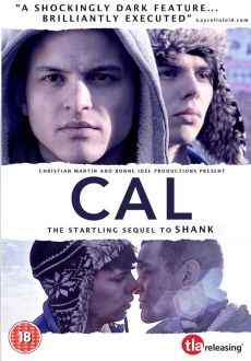 "Cal" (2013) DVDRip.x264-RedBlade