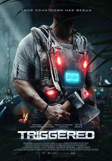 "Triggered" (2020) BDRip.x264-GUACAMOLE