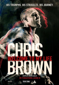 "Chris Brown: Welcome to My Life" (2017) BRRip.XviD.AC3-RARBG