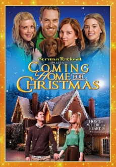 "Coming Home for Christmas" (2013) DVDRip.x264-GHOULS