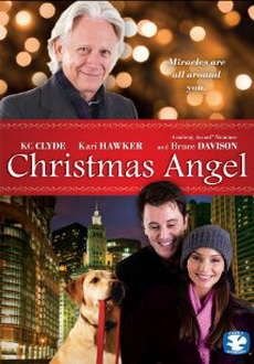 "Christmas Angel" (2009) DVDRip.XviD-aAF