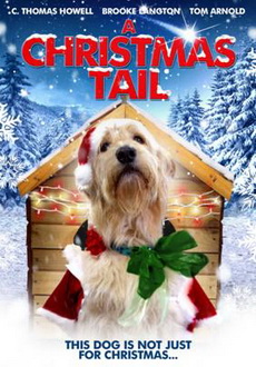 "Chilly Christmas" (2012) PL.DVDRiP.XViD-PSiG