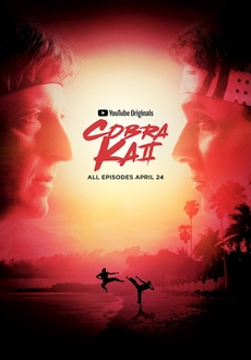 "Cobra Kai" [S02] WEBRip.x264-iNSPiRiT