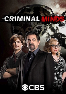 "Criminal Minds" [S13E09] HDTV.x264-KILLERS