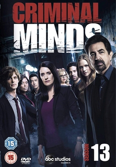 "Criminal Minds" [S13] DVDRip.x264-PFa