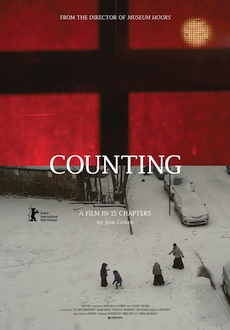 "Counting" (2015) LIMITED.DVDRip.x264-RedBlade