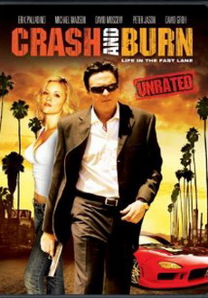 "Crash and Burn" (2008) DVDRip.XviD-VoMiT