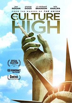 "The Culture High" (2014) WEBRip.x264.AC3-MiLLENiUM