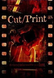 "Cut/Print" (2012) WEBRip.x264-RARBG