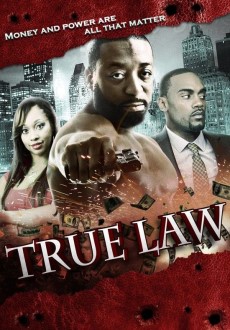 "True Law" (2015) DVDRip.XviD.AC3-RARBG